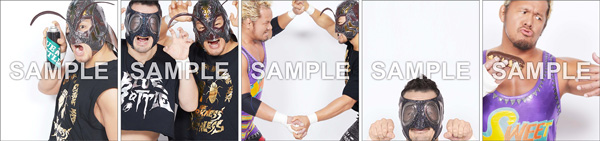 「ゴキブリマスクVSスイートゴリラセット」撮影フレームイメージ